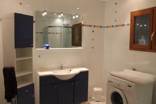 La salle de bains est pourvue d'un lavabo et d'un lave-linge. dans l'établissement Maison Familiale À Recey-Sur Ource, à Recey-sur-Ource