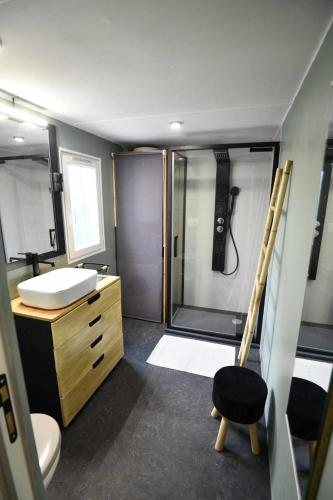 une salle de bain avec une douche, un lavabo et des toilettes dans l'établissement Mobil-Home Charmant et Moderne, à Puget-sur Argens