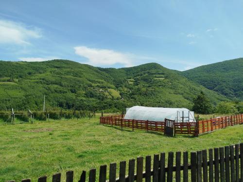 a barn with a white tent in a field with mountains at Apartmani Ružina staza in Rudnik Kačerski