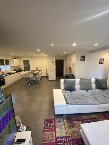 Il comprend un grand salon avec un canapé et une cuisine. dans l'établissement Appartement belle vue sur les montagnes, à Saint Pierre en Faucigny