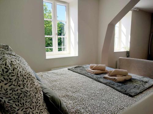 - une chambre avec 2 oreillers sur un lit et 2 fenêtres dans l'établissement Vue basilique, au cœur de la vieille ville, à Boulogne-sur-Mer