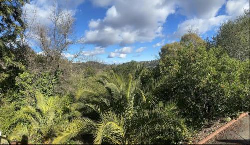 Gallery image of serene Mountainside Suite, Private entrance and bathroom in San Anselmo