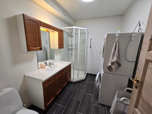 La salle de bains est pourvue de toilettes, d'un lavabo et d'une douche. dans l'établissement Maritime apartment in Haugesund, à Haugesund
