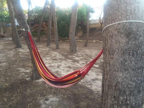 a hammock tied to a tree in a forest at Casa Rural Molera in Elda