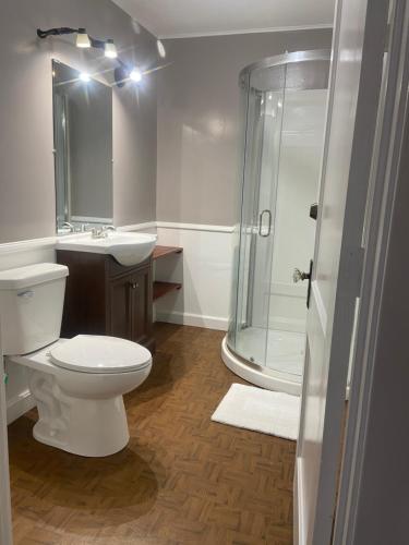 a bathroom with a toilet and a shower and a sink at Best value 4 Huge Bedrooms in Willmar