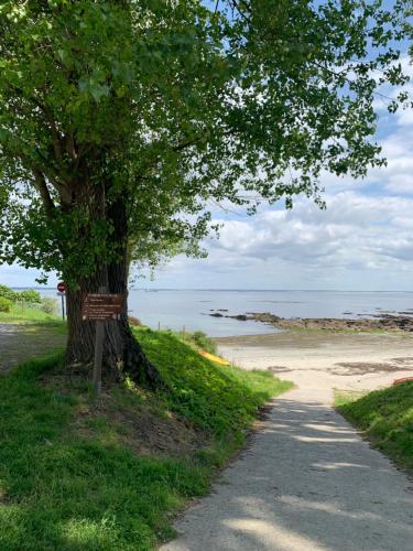 a tree on the side of a road next to a beach at Côté plage in Groix