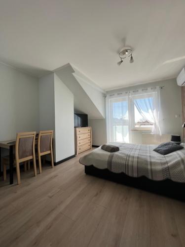 um quarto com uma cama, uma secretária e uma janela em Willa Dominik em Jastarnia