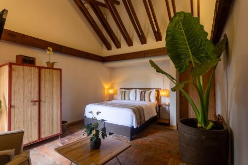 a bedroom with a bed and a potted plant at Sazagua Hotel Boutique in Pereira