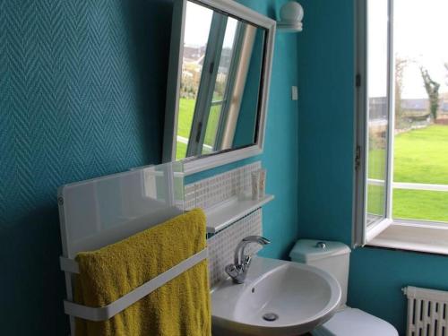 une salle de bain avec un lavabo, des toilettes et un miroir dans l'établissement Le Clos Saint-Clair Etretat, à Bordeaux-Saint-Clair