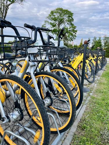 a row of yellow bikes parked next to each other at Słonecznikowa Dolina in Sarbinowo