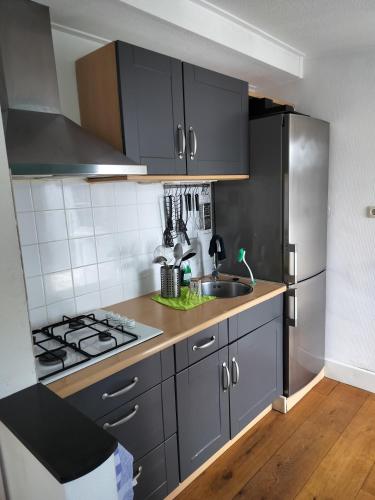 a kitchen with gray cabinets and a sink and a stove at Solstice, quiet cottage in Bruinisse, Zeeland in Bruinisse