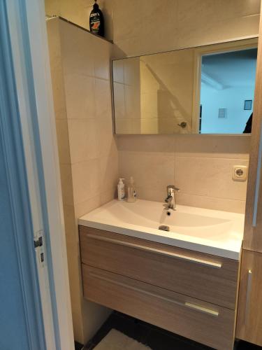 a bathroom with a sink and a mirror at Solstice, quiet cottage in Bruinisse, Zeeland in Bruinisse