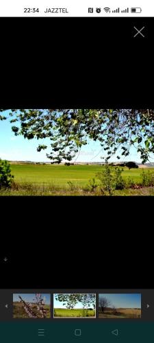 two pictures of trees and a field of grass at San Antonio cuatro vientos in Pétrola