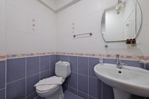 a bathroom with a toilet and a sink and a mirror at Majestic Hotel in Oludeniz
