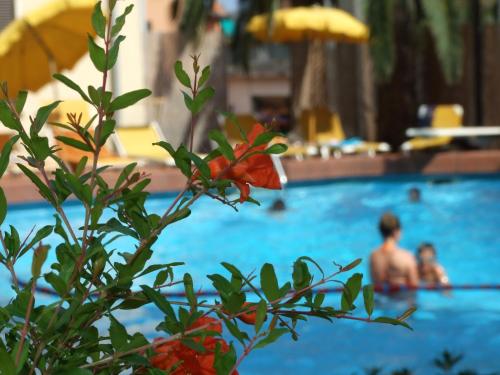 a group of people swimming in a swimming pool at Coccodrillo Hotel & Apartments in Varazze