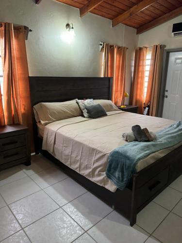ein Schlafzimmer mit einem großen Bett in einem Zimmer in der Unterkunft JJs Flat in Cedar Grove