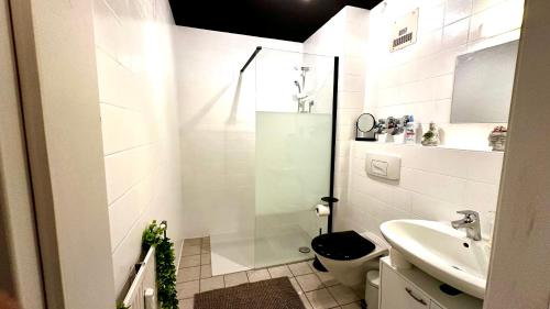 a bathroom with a shower and a toilet and a sink at BeeFree Thermen und Golf3 I Free Parking I Balcony in Pocking