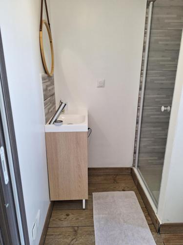 a bathroom with a sink and a mirror and a shower at logement calme, 5 minutes de l'autoroute in Vieux-Manoir