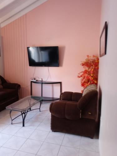 The Dream Nest at Csompó Silver Manorにあるテレビまたはエンターテインメントセンター