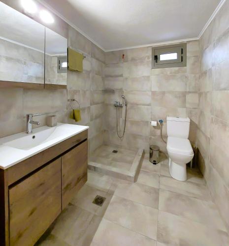 a bathroom with a toilet and a sink and a shower at The Old Barn House in Mesótopos