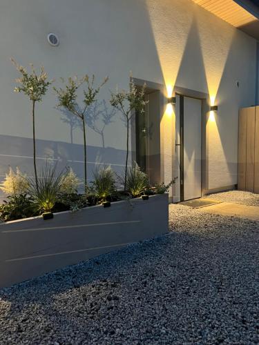 Κήπος έξω από το Apartamenty M7