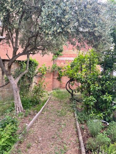 um jardim com uma árvore e uma parede de tijolos em Can Bastida em Cardona