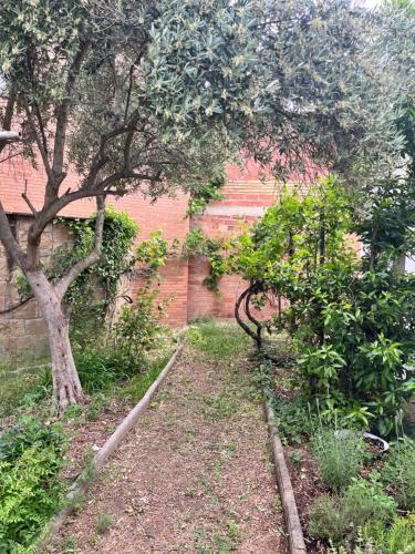 a garden with a tree and a brick wall at Casa Rural Can Bastida in Cardona