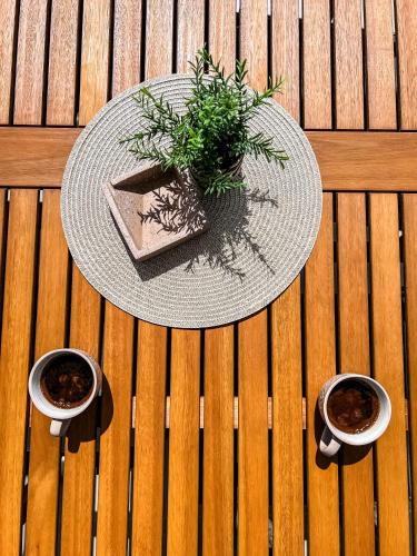 a table with a potted plant on a wooden deck at LOUTRA VILLAS in Agia Paraskevi