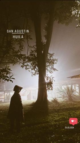 a poster of a dog standing next to a tree at Finca La Rivera in San Agustín