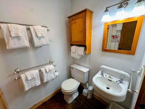 a bathroom with a toilet and a sink and towels at 11G Quintessential New Engalnd Cottage with Fantastic Views! in Sugar Hill