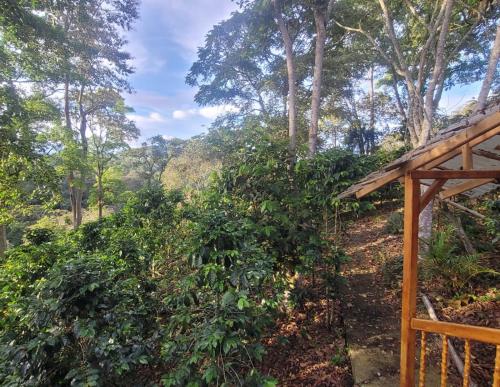 a garden with trees and a wooden structure at Finca La Rivera in San Agustín