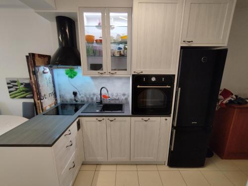 a kitchen with a black refrigerator and a sink at Sweet Lori Apartment in Ljubljana