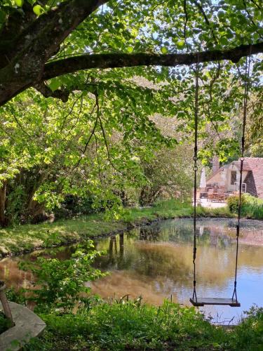 a swing hanging from a tree over a river at Chambres d hôtes du Moulin de Boiscorde in Rémalard en Perche