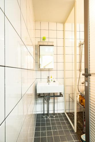 a bathroom with a sink and a mirror at 18, Oji B, Detached house for rent, 王子B in Tokyo