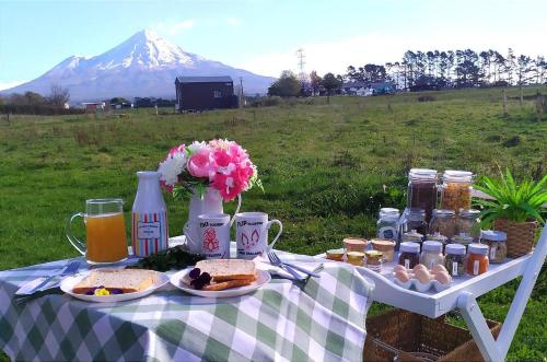 ein Picknicktisch mit Essen und ein Berg im Hintergrund in der Unterkunft Taranaki Creekside KEA in Stratford