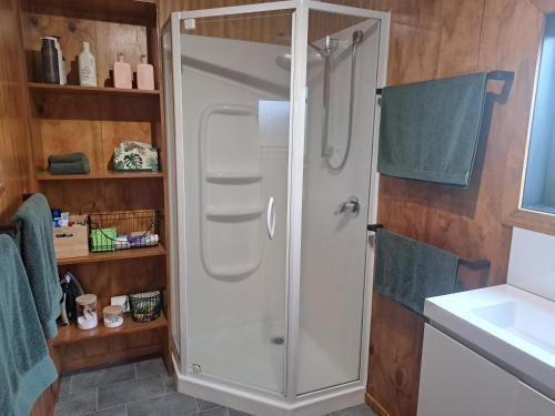 y baño con ducha y lavamanos. en Crinkly Cottage en Te Kuiti