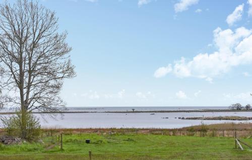 a tree in a field next to a body of water at Gorgeous Home In Jämjö With Kitchen in JÃ¤mjÃ¶
