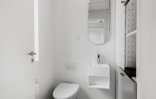 a white bathroom with a toilet and a mirror at Lovely Home In Kerteminde With Wifi in Kerteminde