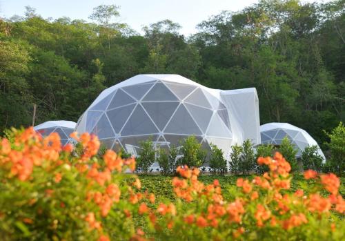 a large domed building in a field of flowers at NiNo San Glamping - Pak Chong in Pak Chong