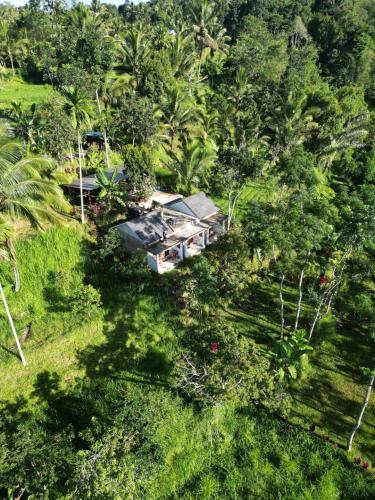 an aerial view of a house in the forest at Tetebatu Fullmoon in Tetebatu