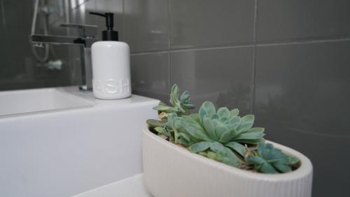 a potted plant sitting on a bathroom counter with a soap dispenser at Stay on Summer - CBD Apartment in Orange
