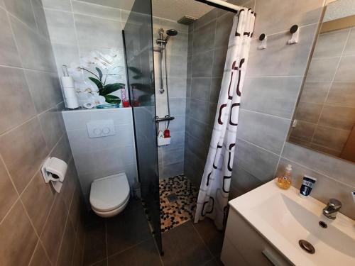 une salle de bain avec une douche avec des toilettes et un lavabo dans l'établissement Maison Rénovée 400m de la Plage avec Terrasse et Parking, La Faute-sur-Mer - FR-1-194-286, à La Faute-sur-Mer