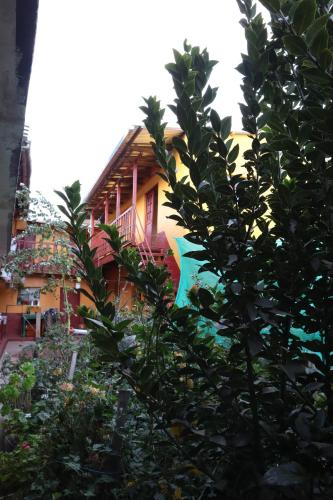 a house with a tree in front of it at Hospedaje MALVIN Motoposada in Pitumarca