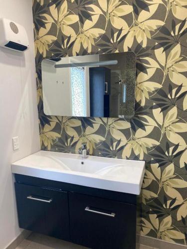 a bathroom with a sink and a mirror at KK Boarding Holiday house in Hamilton