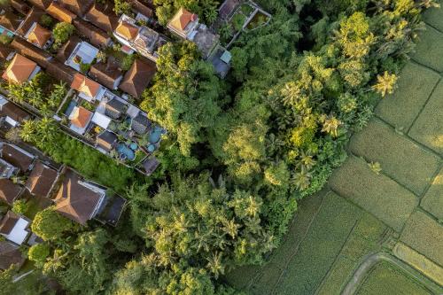 an overhead view of a group of trees and houses at Agastya Ubud Villa in Ubud