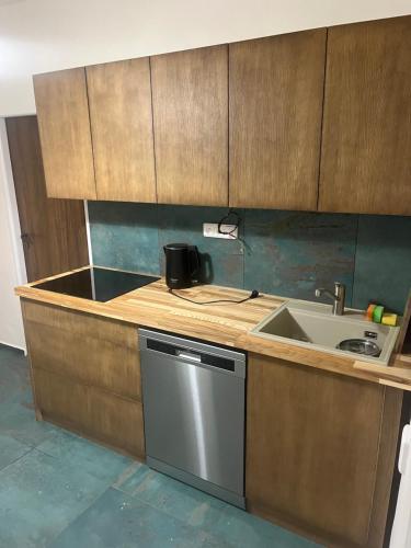 a kitchen with a sink and a dishwasher at Mikulovská chalupa in Mikulov