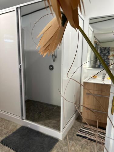 a glass cabinet with a flower in a room at Rangiriri Vacay in Amuri