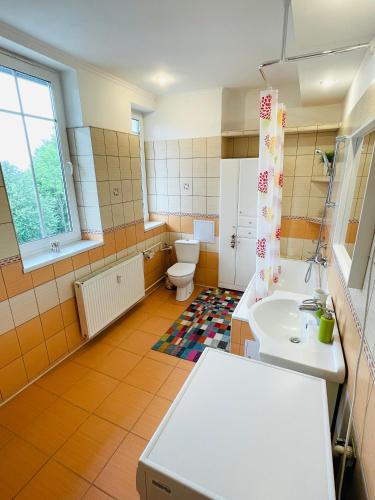 a bathroom with a toilet and a sink and a sink at Vila Mudroň - Apartmán Štefánik in Starý Smokovec