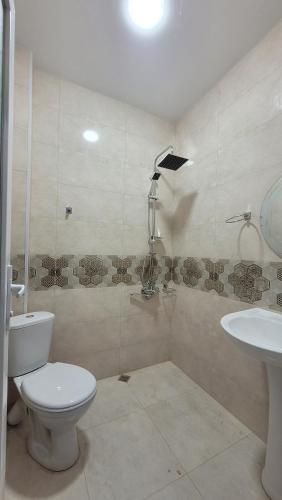 a bathroom with a toilet and a sink at PharphalInn in Batumi