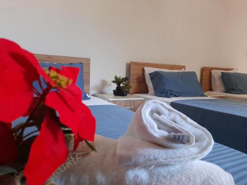 a room with two beds and a red flower at Comfortable Slavej Apartment 1 in Sveti Nikole